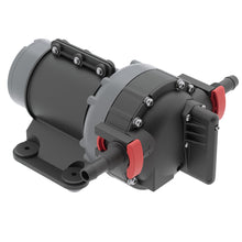 Load image into Gallery viewer, Johnson Pump Aqua Jet II WPS 5.2 GPM - 12V - GSP 2.8 Bar [10-25011-03]
