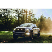 Load image into Gallery viewer, RIGID Industries D-Series PRO Specter-Diffused LED - Pair - Black [502513]
